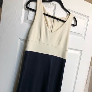 J. Crew Navy & Ivory Dress